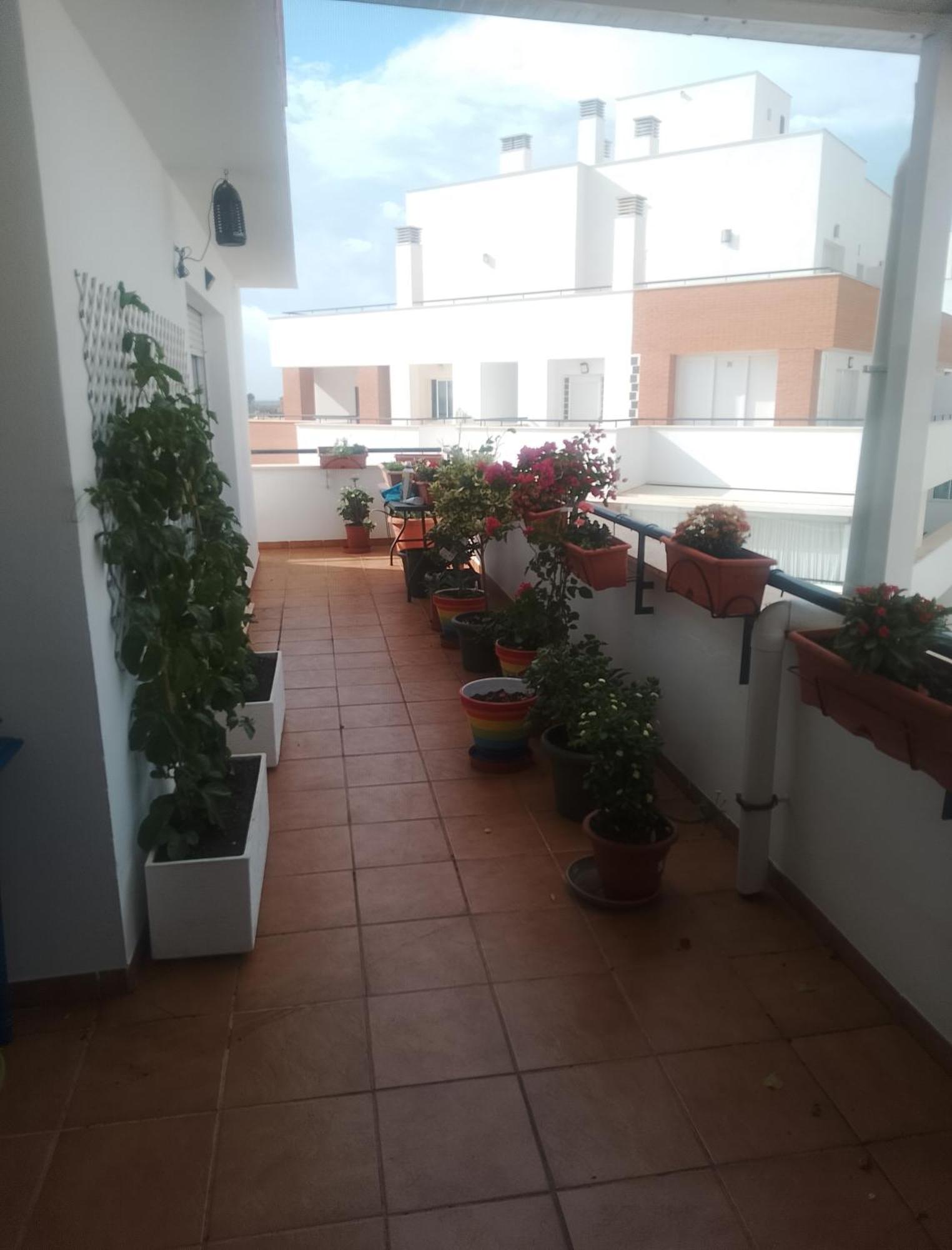 Golf, Piscina,Playa Apartment Roquetas de Mar Exterior photo